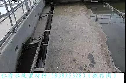 仁源陰離子聚丙烯酰胺HPAM廠家?guī)呓聡亓諻assmannsdorf 污水處理廠