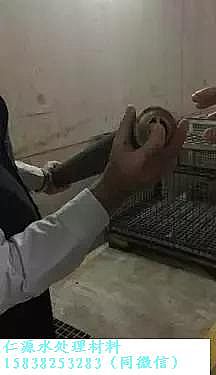 仁源陰離子聚丙烯酰胺HPAM廠家?guī)呓聡亓諻assmannsdorf 污水處理廠