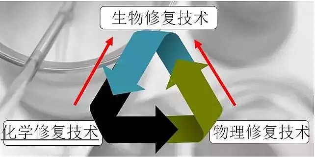 無煙煤濾料生產(chǎn)廠家公布水體修復的重量級資料