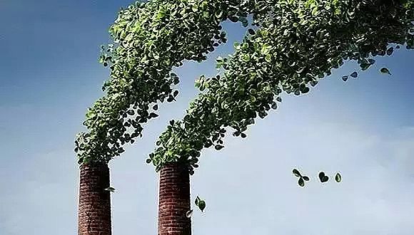 工業葡萄糖廠家—官方大尺度揭丑污染亂象,刮的什么風?