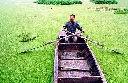 VϏSԔˮwIBԭͼgʩ