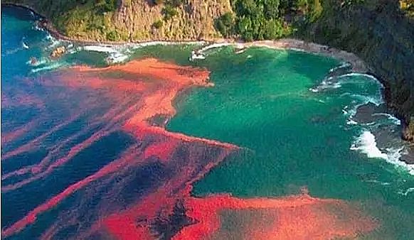 VϏSԔˮwIBԭͼgʩ