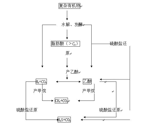 海綿鐵濾料除氧劑濾料廠家調(diào)試運(yùn)行厭氧生物處理工程