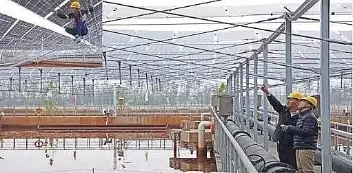 精制石英砂濾料生產廠家全國污水處理廠光伏電站有望超過20GW