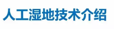 海綿鐵濾料廠家設計人工濕地全圖案例