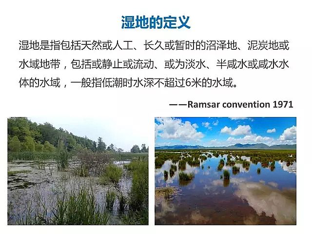 海綿鐵濾料廠家設計人工濕地全圖案例