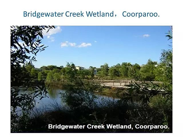 海綿鐵濾料廠家設計人工濕地全圖案例