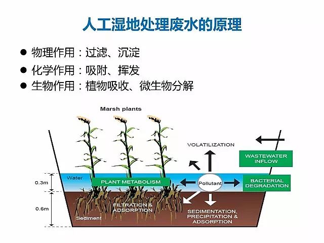海綿鐵濾料廠家設計人工濕地全圖案例