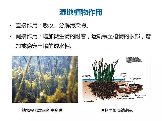 海綿鐵濾料廠家設計人工濕地全圖案例