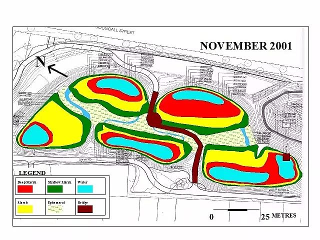 海綿鐵濾料廠家設計人工濕地全圖案例