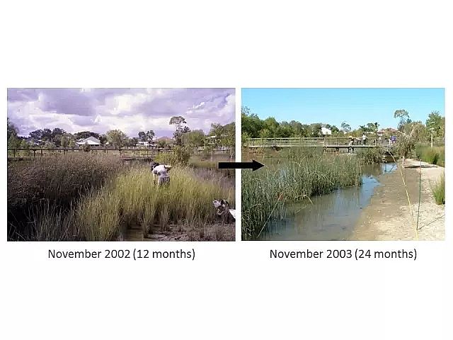 海綿鐵濾料廠家設計人工濕地全圖案例