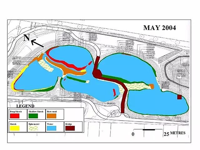 海綿鐵濾料廠家設計人工濕地全圖案例