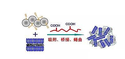 聚丙烯酰胺PAM生產廠家一文帶你看懂混凝、絮凝、PAC、PAM
