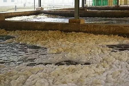 陽離子聚丙烯酰胺廠家關(guān)于污泥膨脹,看這一篇就夠了