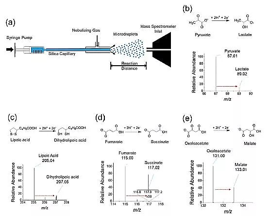 2019年硫酸亞鐵廠家玄學(xué)還是科學(xué)?微米級水滴竟是高效還原劑
