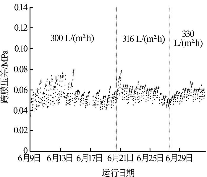 精制稀土瓷砂濾料廠家陶瓷超濾膜在電廠化學水處理系統改造中的應用