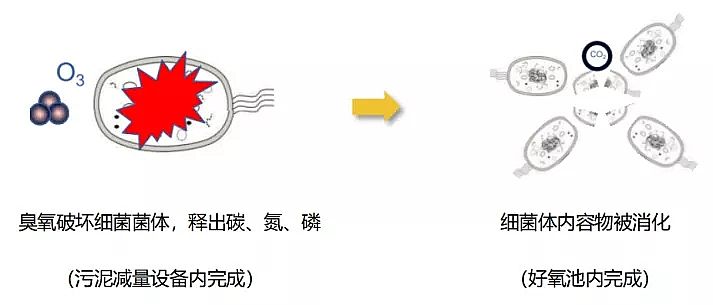 2019年彗星式纖維濾料生產廠家法國液化空氣在水處理行業的應用技術和服務