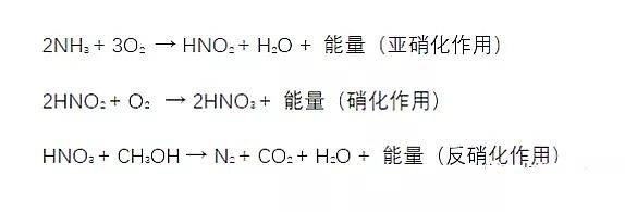 2019年沸石濾料生產(chǎn)廠家看完這篇文章你就會(huì)秒懂總氮丶氨氮丶硝酸鹽氮丶亞硝酸鹽氮丶凱式氮
