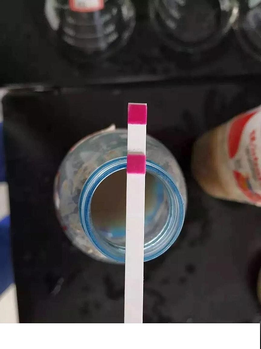 2020年聚合氯化鐵PAFC生產廠家硫化物生化系統的影響