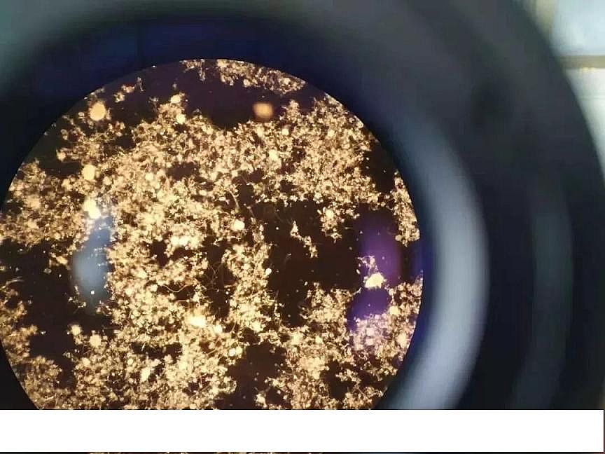 2020年聚合氯化鐵PAFC生產廠家硫化物生化系統的影響