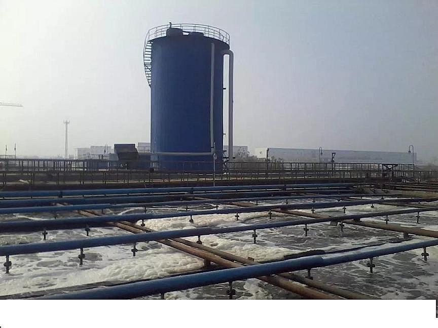 2020年非離子聚丙烯酰胺NPAM廠家值得收藏《某污水處理工程調(diào)試及試運(yùn)行指導(dǎo)手冊(cè)》