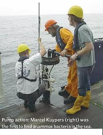 2020年陰離子聚丙烯酰胺廠家厭氧氨氧化菌在于污水的處理實(shí)際應(yīng)用