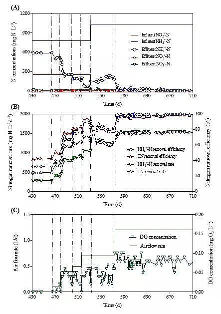 2020年曝氣器生產廠家一段式完全脫氮新技術PNAM:短程硝化+厭氧氨氧化+厭氧甲烷氧化
