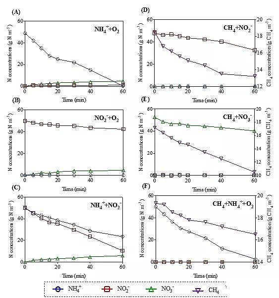 2020年曝氣器生產廠家一段式完全脫氮新技術PNAM:短程硝化+厭氧氨氧化+厭氧甲烷氧化
