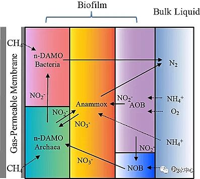 2020年曝氣器生產廠家一段式完全脫氮新技術PNAM:短程硝化+厭氧氨氧化+厭氧甲烷氧化