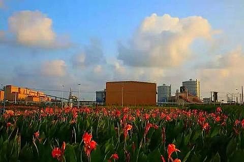 2020年聚合氯化鐵PAFC廠家開創(chuàng)BOO冶金行業(yè)環(huán)境治理新模式