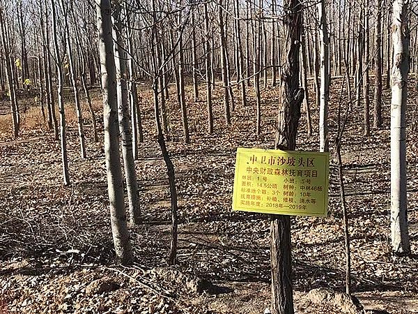 2019年消毒劑氯錠生產廠家騰格里沙漠污染調查:中冶紙業前身用污水灌溉