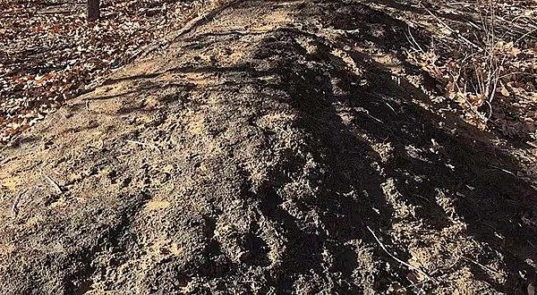 2019年消毒劑氯錠生產廠家騰格里沙漠污染調查:中冶紙業前身用污水灌溉