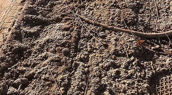 2019年消毒劑氯錠生產廠家騰格里沙漠污染調查:中冶紙業前身用污水灌溉