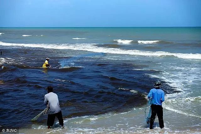 2020年泡沫濾珠濾料EPS廠家爆發(fā)!2020年 污泥無害化處置市場規(guī)模將翻倍