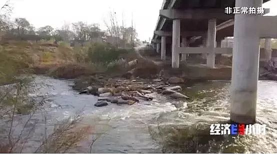 仁源水處理濾料生產(chǎn)廠家木魚石生產(chǎn)濾料觸目驚心!黃金冶煉廠廢液廢料污染黃河支流 村民:小鳥喝了就死!