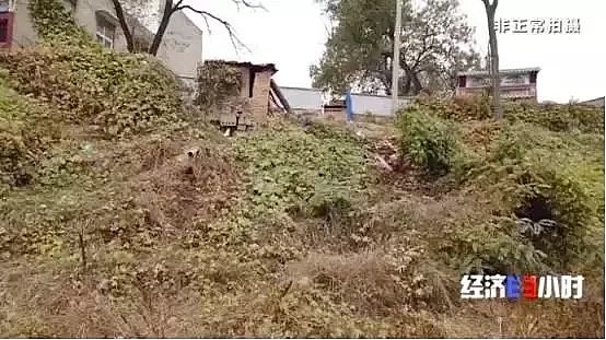 仁源水處理濾料生產(chǎn)廠家木魚石生產(chǎn)濾料觸目驚心!黃金冶煉廠廢液廢料污染黃河支流 村民:小鳥喝了就死!