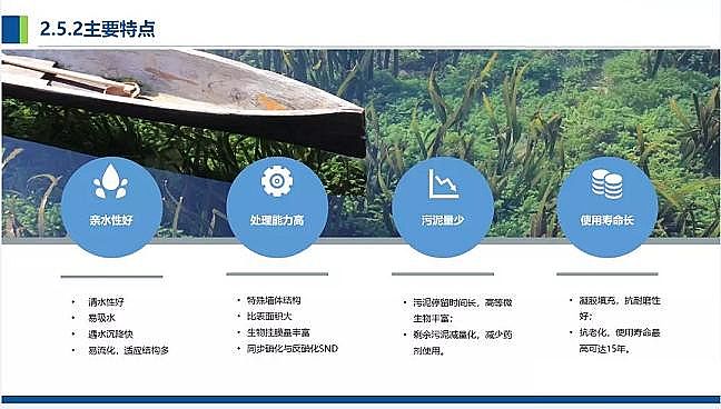 仁源水處理濾料廠家火山巖生物濾料農(nóng)村污水分散式點源治理凈化槽處理技術(shù)