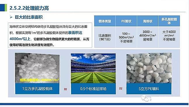 仁源水處理濾料廠家火山巖生物濾料農(nóng)村污水分散式點源治理凈化槽處理技術(shù)