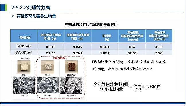 仁源水處理濾料廠家火山巖生物濾料農(nóng)村污水分散式點源治理凈化槽處理技術(shù)