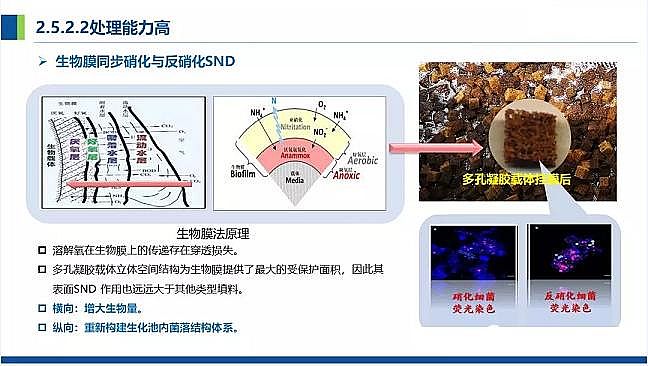 仁源水處理濾料廠家火山巖生物濾料農(nóng)村污水分散式點源治理凈化槽處理技術(shù)