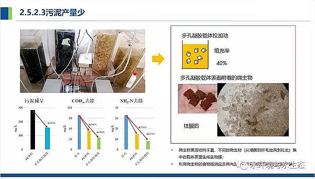仁源水處理濾料廠家火山巖生物濾料農(nóng)村污水分散式點源治理凈化槽處理技術(shù)