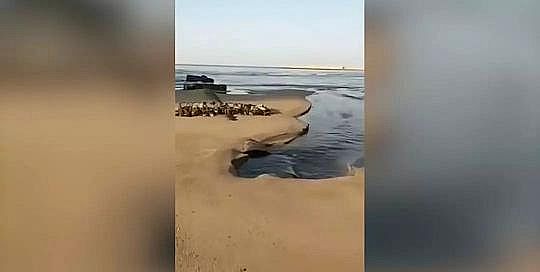 2020年消毒劑氯錠生產(chǎn)廠家煙臺環(huán)境局通報(bào)“入海管道排污”:管道上游全封閉下游全拆除