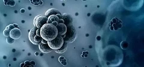 水處理活性炭生產廠家柱狀活性炭漲知識空氣凈化器如何選擇?科學原理一說你就懂!