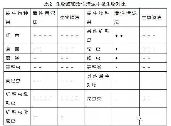 Ʒú|w̿S4f!ˮ̎ҎָȫY