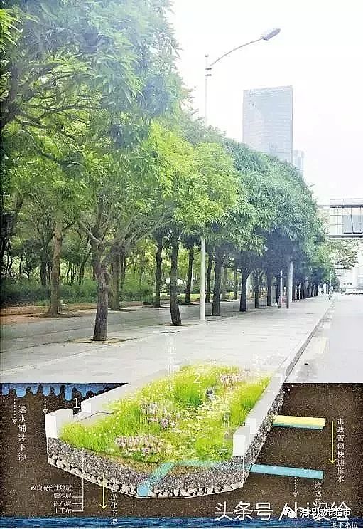 水處理濾料廠家火山巖生物濾料大招!24種海綿城市設計措施全圖解!