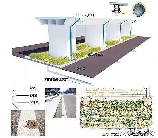 水處理濾料廠家火山巖生物濾料大招!24種海綿城市設計措施全圖解!