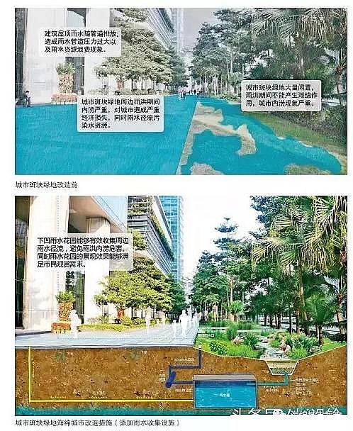 水處理濾料廠家火山巖生物濾料大招!24種海綿城市設計措施全圖解!