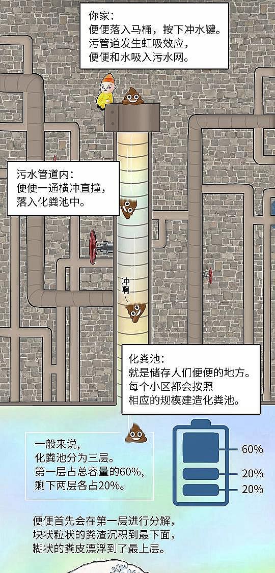 2020귴_ϴVñSϵy(tng)vSˮ̎ ҂ʺȥ?