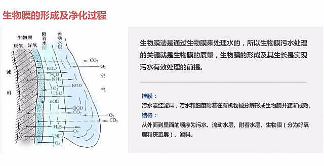 柱狀活性炭廠家發布污水處理廠工藝清單及排名!