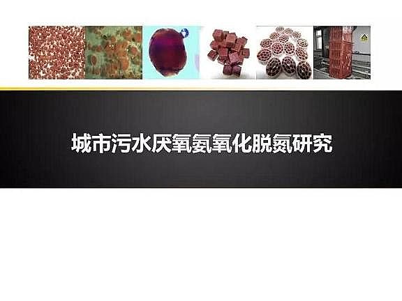 優(yōu)質(zhì)纖維束填料生產(chǎn)廠家城市污水厭氧氨氧化脫氮研究